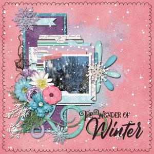 the wonder of winter