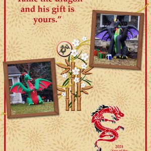 Tame the Dragon