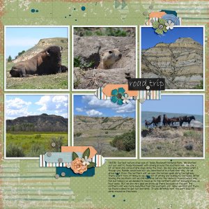 Teddy Roosevelt NP