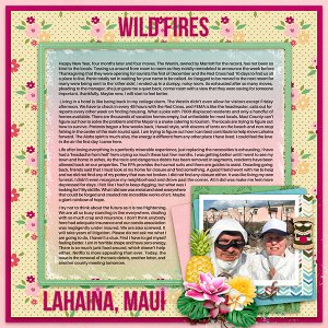 Wildfires