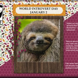 ATC 2024-003 World Introvert Day