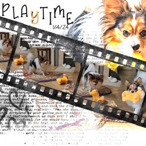 Playtime