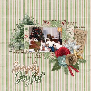 Simply Joyful-Aimee