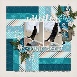 Tabby window