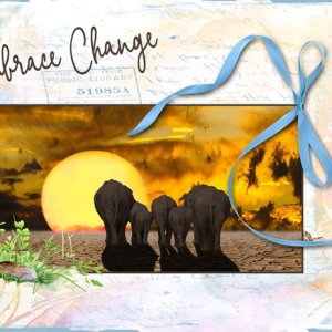 Embrace Change