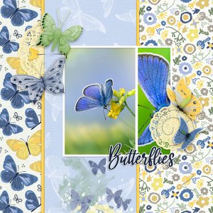 Blue Karner