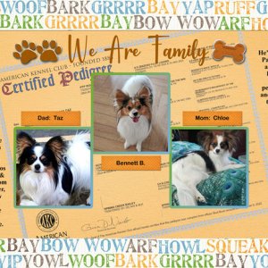 We Are Family