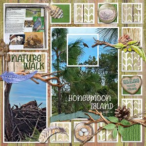 Nature Walk- Honeymoon Island