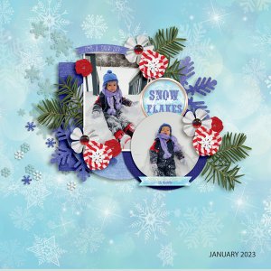 SNOWFLAKES -SURPRISE-1-24