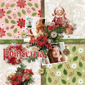 Poinsettia