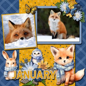 Foxes