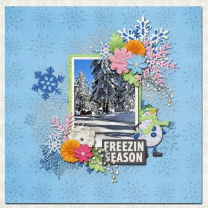 freezin season
