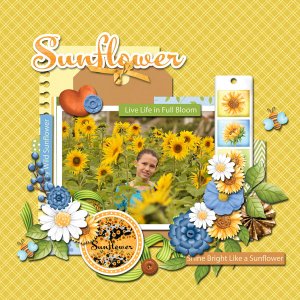 sunflower