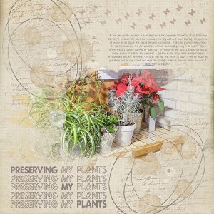 Preserving My Plants