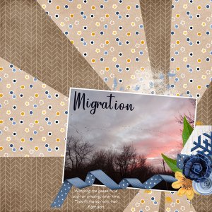 Migration