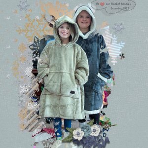 Blanke Hoodies