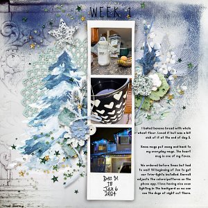 Week 1 Project 365