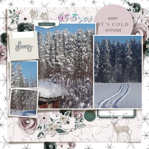 Winter day