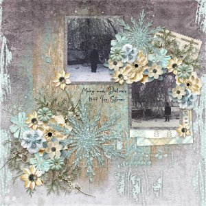 January Feeling with Temp #2-CarolW