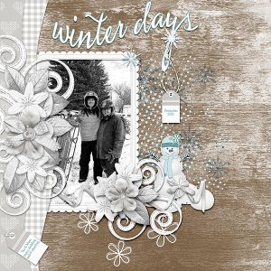 Winter days