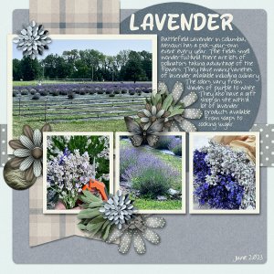 Lavender