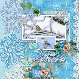 Snow Adorable