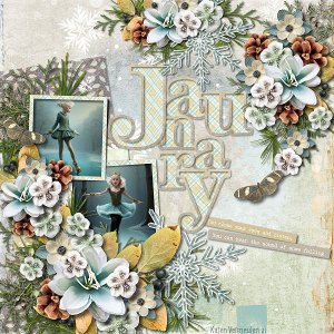 January Feeling By CarolW
