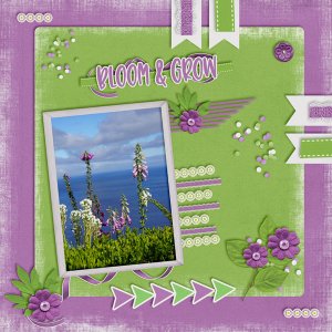 Bloom and grow