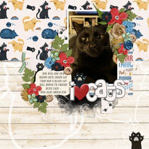 I Love Cats