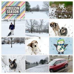 January Snows