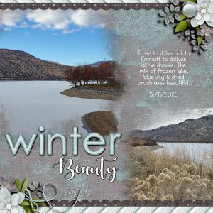 Winter Beauty
