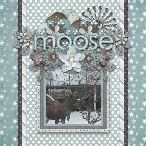 Moose