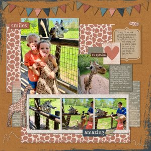 Zuri the Giraffe at the Ft. Wayne Zoo