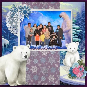 12-28-23polarbear
