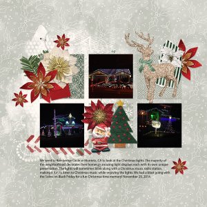 Christmas Lights 2014
