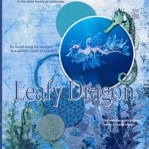 Leafy Dragon