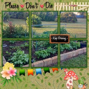 I Wet My Plants-ScrapbookCrazy January Temp #3 Challenge