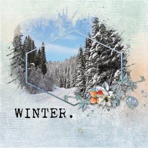 Winter days