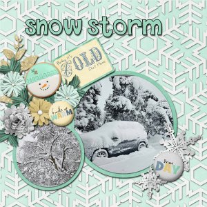 Snow Storm