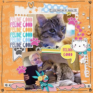 Feline Good