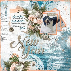 new year - new chances