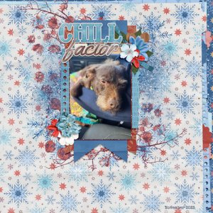 Chill Factor