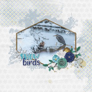 Snow Birds