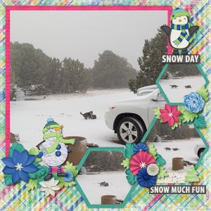 Snow Day