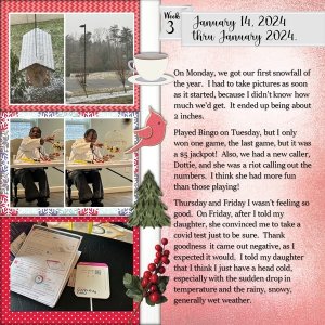 Project 365 Challenge - Week 3