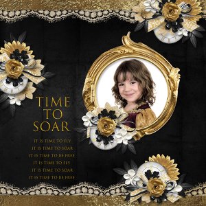 Time to Soar