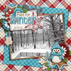 1st Snow 2024