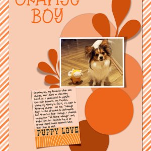 Orange Boy