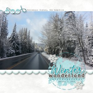 Winter Wonderland 2013