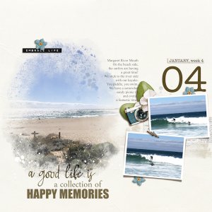 Collection of Happy Memories